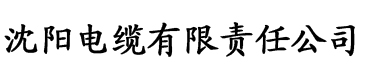 天天网站电缆厂logo